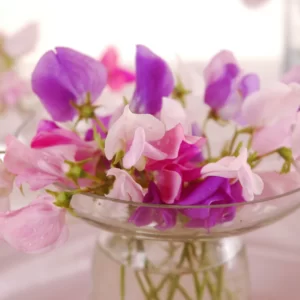 Sweet Pea Fragrance Oil- 4oz.